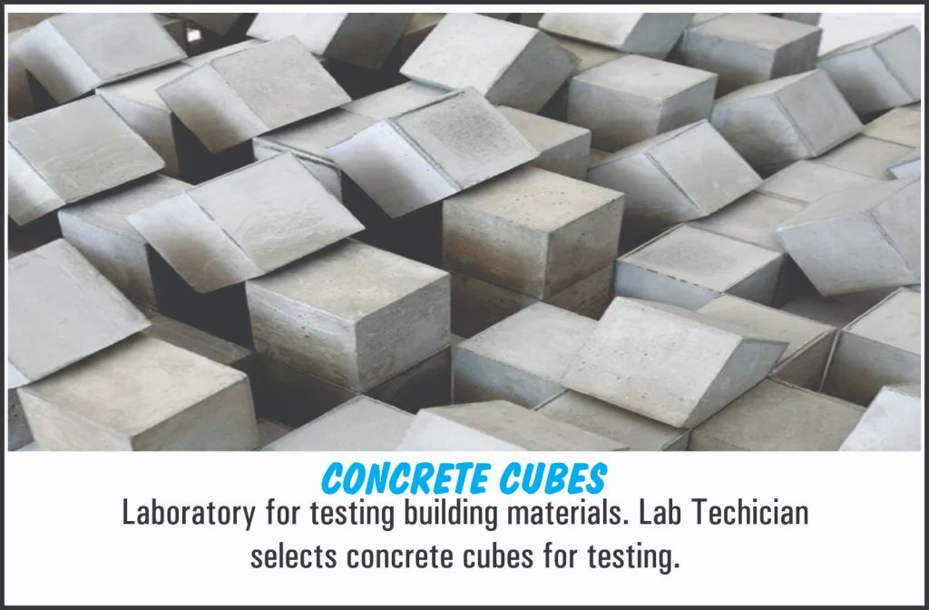 whatsapp image 2025 09 25 at 4.48.49 pm